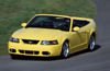 2004 Ford Mustang SVT Cobra Picture